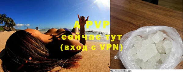 индика Абдулино