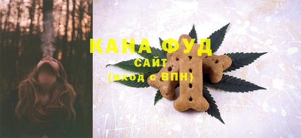 индика Абдулино