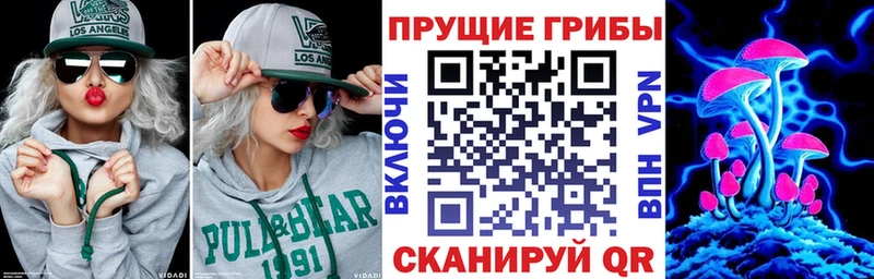 Псилоцибиновые грибы мицелий  Чекалин 